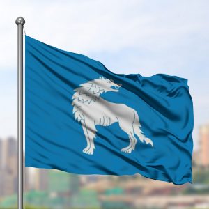Флаг Волковыска