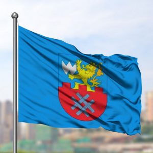Флаг Вороново